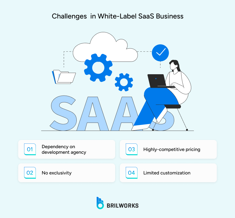Challenges_in_White Label_SaaS_Business 1762264280453 Challenges in White label SaaS development